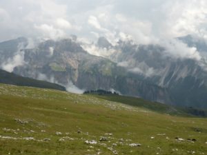 Gipfelausblick Stevia