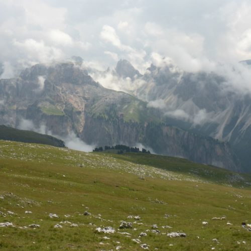 Gipfelausblick Stevia