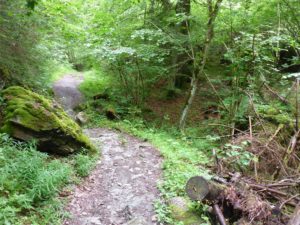 Bergwanderweg Felsbachschlucht Flims