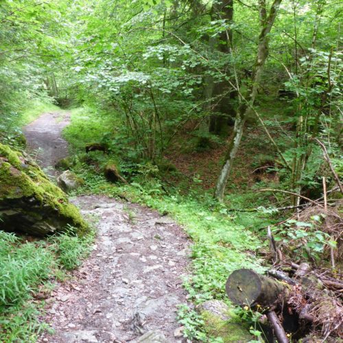 Bergwanderweg Felsbachschlucht Flims