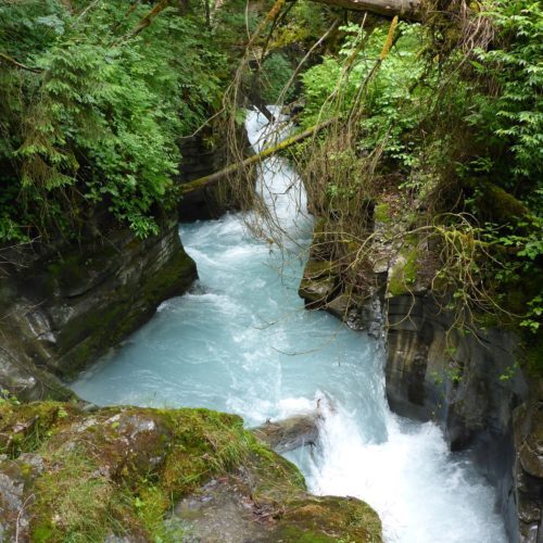 Felsbachschlucht Flims, Flem