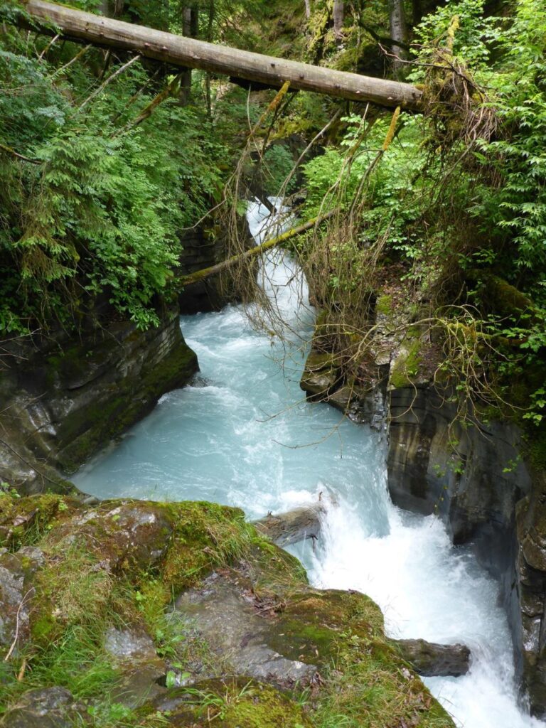 Felsbachschlucht Flims, Flem