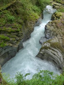 Felsbachschlucht Flims, Flem