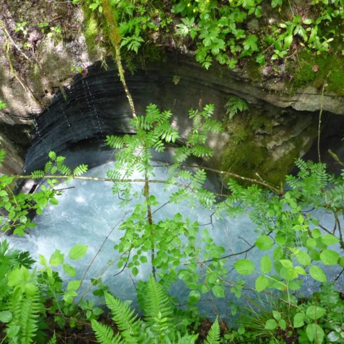 Felsbachschlucht Flims, Flem