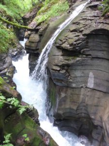 Flem in Felsbachschlucht Flims