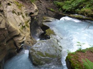 Flem in Felsbachschlucht Flims