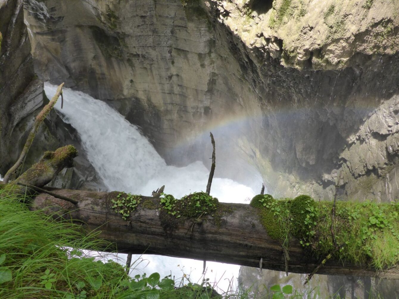 Regenbogen und Wasserfall, Felsbachschlucht Flims