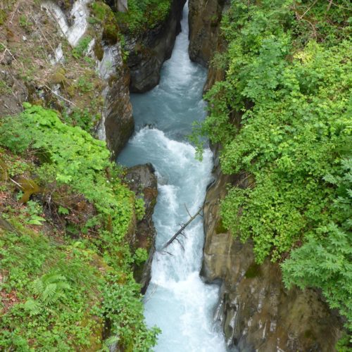 Felsbachschlucht