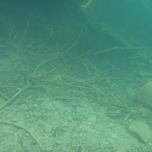 Kristallklares Wasser Crestaseea
