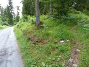 Die Abzweigung zum Klettergarten ist blau Markiert und einfach zu finden. Es hat ein Trampelpfad