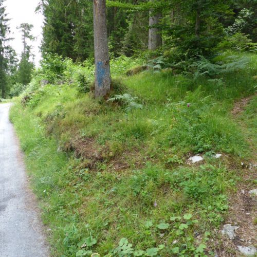 Die Abzweigung zum Klettergarten ist blau Markiert und einfach zu finden. Es hat ein Trampelpfad