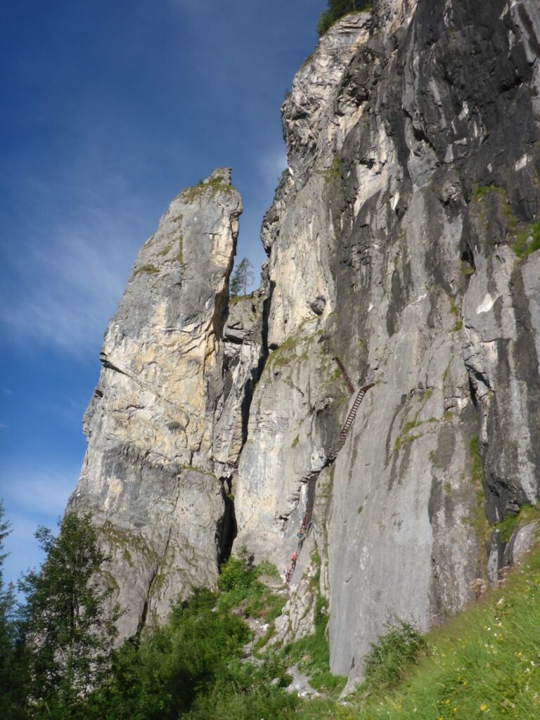 Meilerstein und Einstieg Pinut