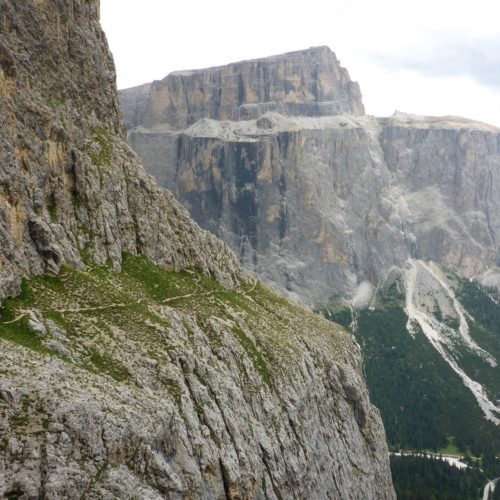 Gamsband Piz Ciavazes