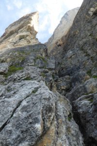 Die Nase von Unten (8a)