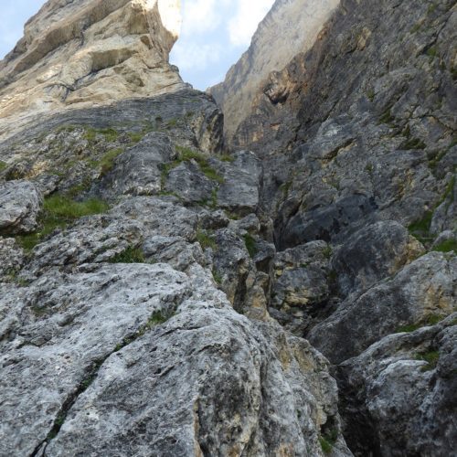 Die Nase von Unten (8a)