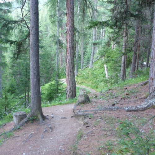 Höhenweg Richtung Nationaparkhütte