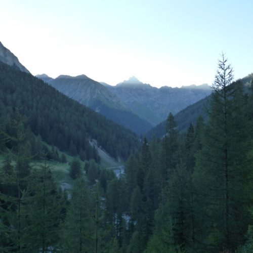 Sonnenaufgang Piz Saliente