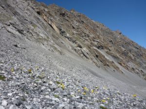 Ostflanke Piz Quattervals