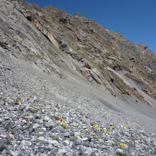 Ostflanke Piz Quattervals