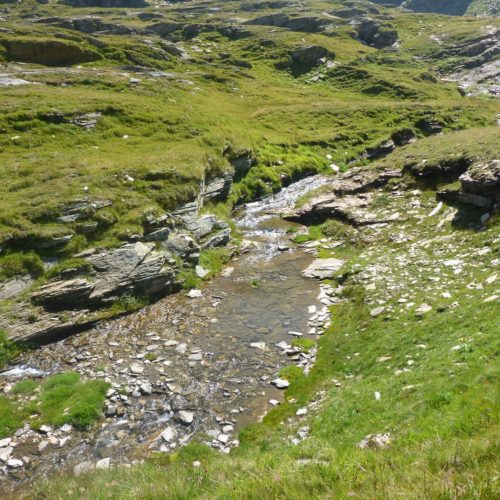 Guraletschbach