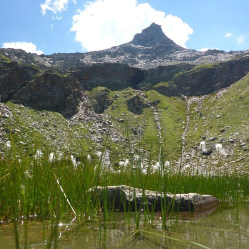 Ampervreilsee
