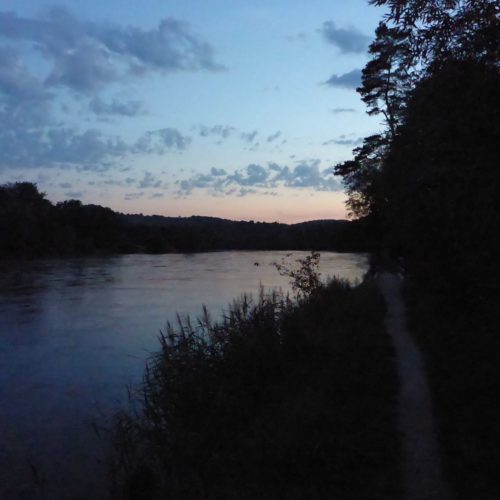 Rhein bei Rüdlingen