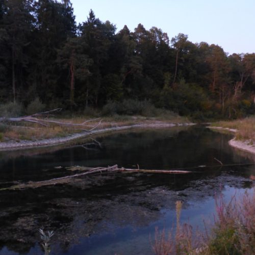 Aalter Rhii Rüdlingen