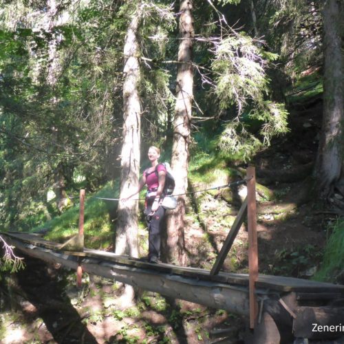 Brücke auf der Wiese Pinut