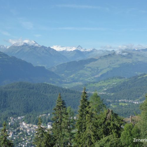 Ausblick durch die Surselva