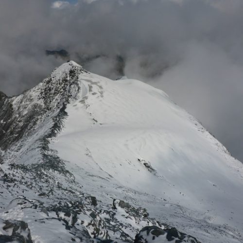 Ringelfirn