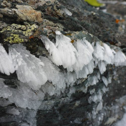 Eiskristalle und Wind