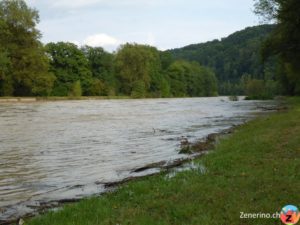 Thur Hochwasser beim Neugrüt