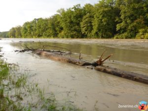 Thur Hochwasser beim Rank Widen