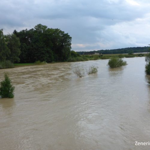 Thur Hochwasser bei Gütighausen