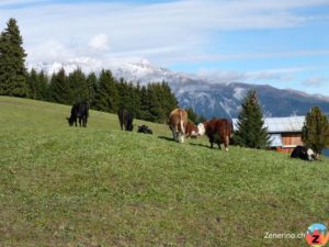 Cavarschons (Falera)