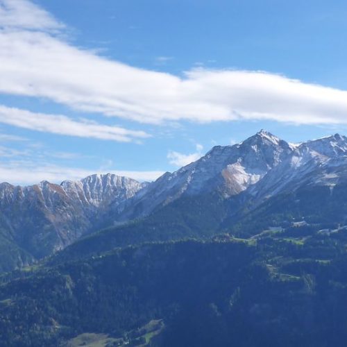 Signinakette im Herbst