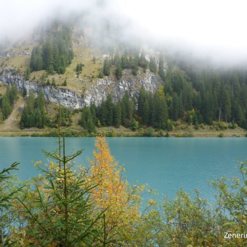 Alp da Pigniu