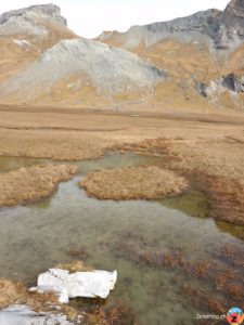 Segnas Sut