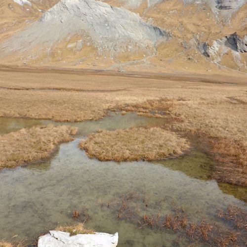 Segnas Sut