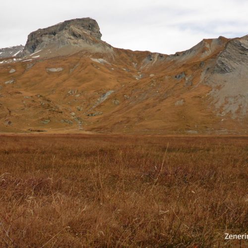 Segnas Sut