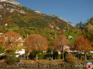 Vierwaldstättersee im Herbst (Sisikon)