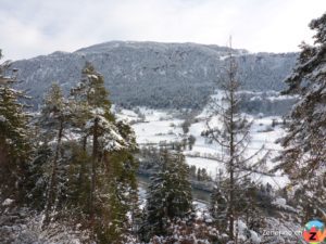 Aussicht auf den Rhein