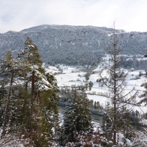Aussicht auf den Rhein