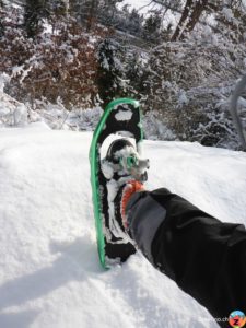 Schneeschuhe