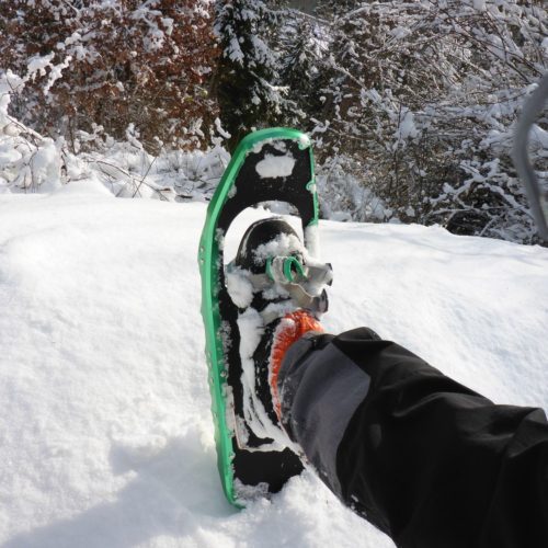 Schneeschuhe