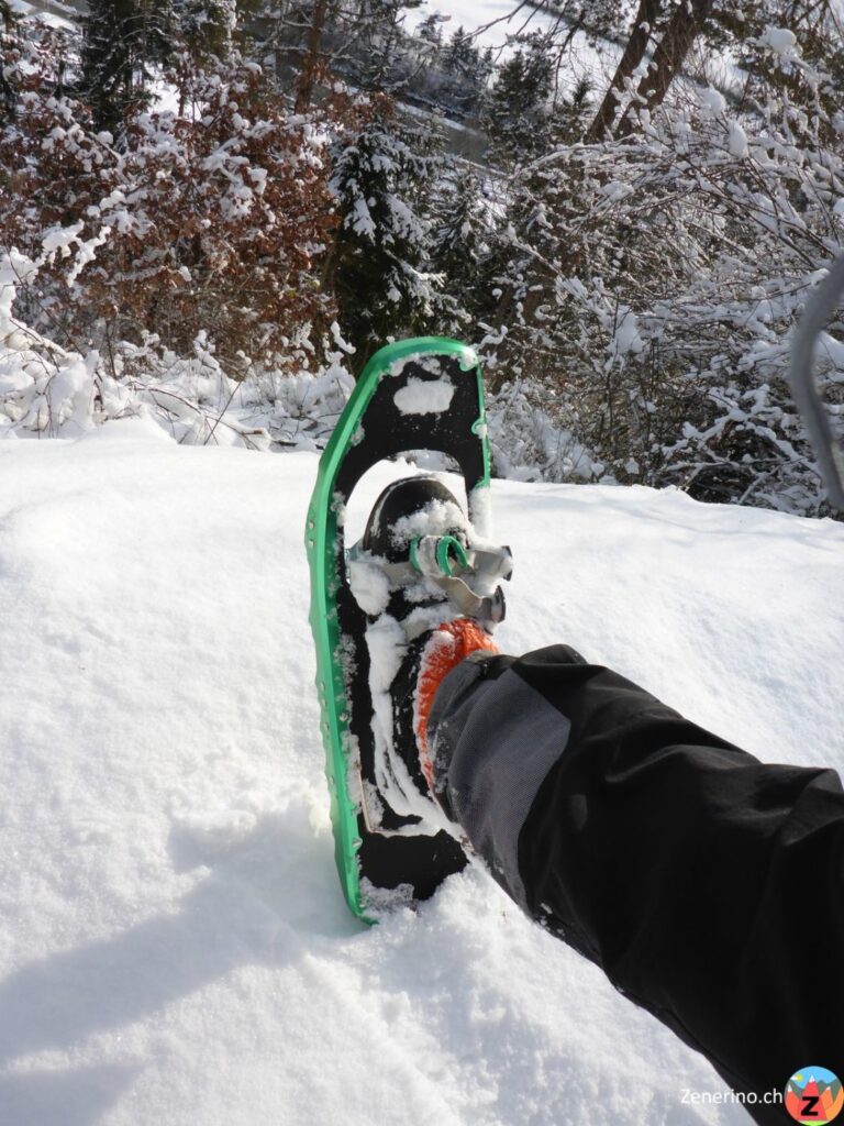 Schneeschuhe