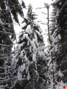 Schnee soweit das Auge reicht