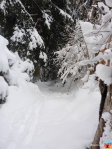 Schneeschuhweg Schluein