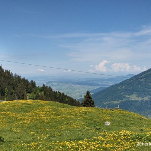 Aussicht in die Linthebene