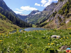 Talalpsee